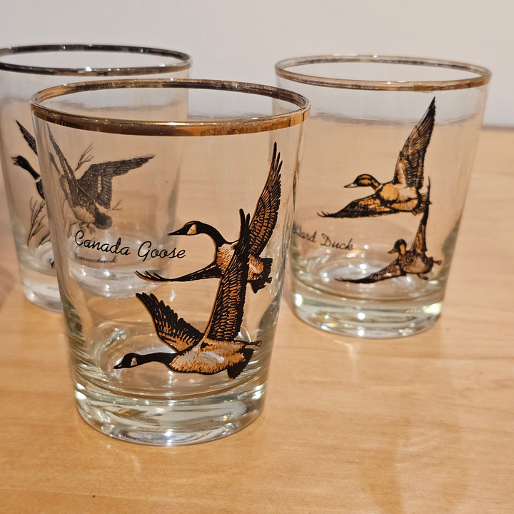 (4) Federal Highball Glasses Bird Theme