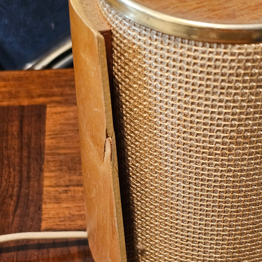 Pair of Telefunken Allvox Strahler RS1 Speakers