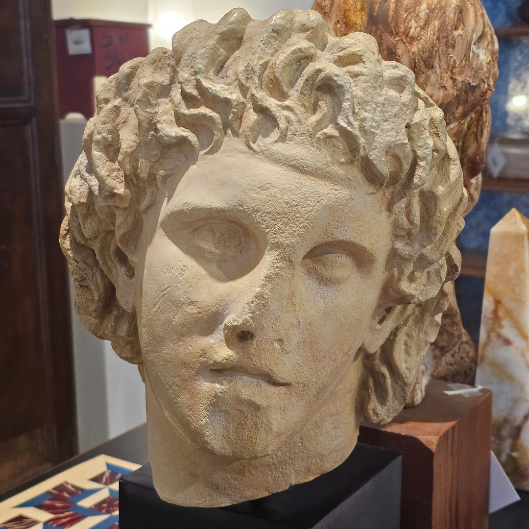 Vintage Alexander the Great Bust